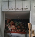 Steinhart Aquarium